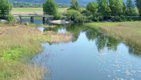 Vista-Aérea-A-Lo-Largo-Del-Río-Con-Pantano-De-Hierba-En-Eslovenia