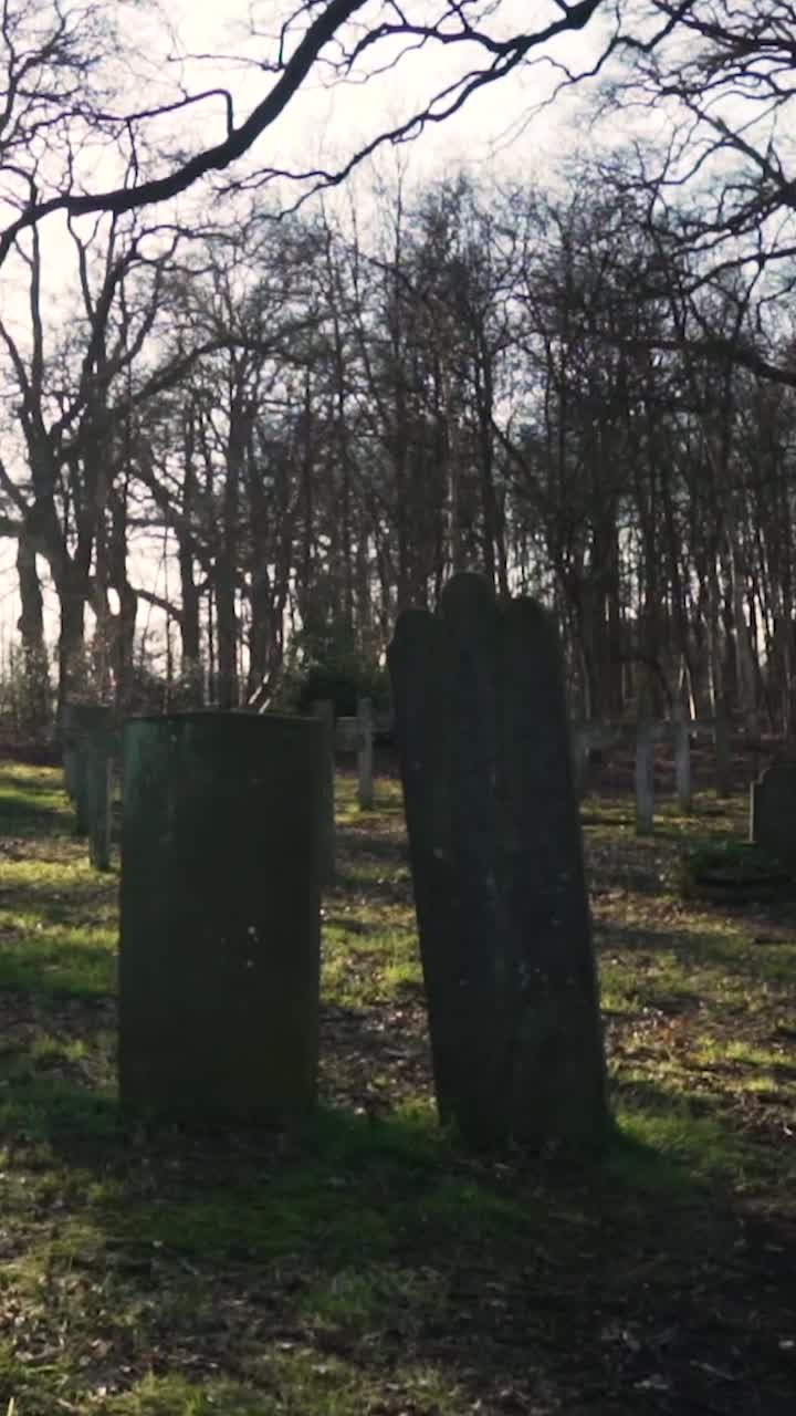 cementerio en un día soleado