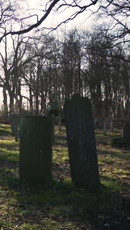 cemetery on a sunny day