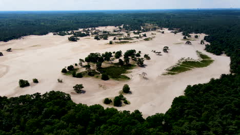descripción aérea de hermosas dunas de arena rodeadas por un bosque verde en verano