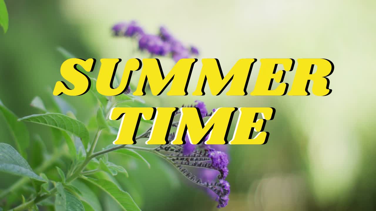 Cornici che inquadrano un fiore viola dietro il titolo giallo "SUMMER TIME", rivelando un focus di marketing.