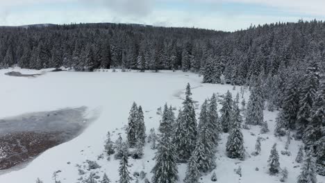 frozen lake in winter, woods covered in fresch snow, aerial view, crno jezero, black lake, pohorje, slovenia