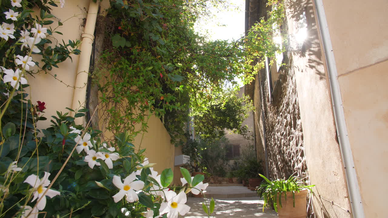 꽃이 피는 가신 거리 창문과 꽃과 빛 화염 프랑스 바 세인트 트로페즈