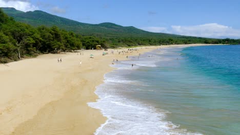 escena de playa tropical con gente