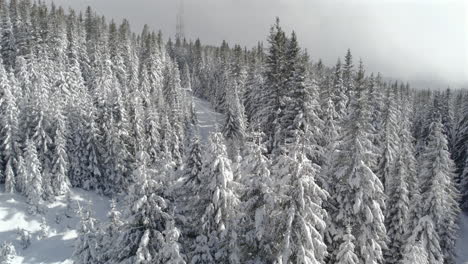 aerial footage of a forest of fir trees laden with snow, crossed by a forest road leading up to a telecommunication antenna shrouded in fog during windy, cold weather with sun and clouds