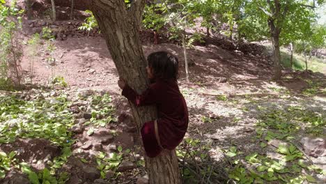 Mädchen-Klettert-Auf-Baum