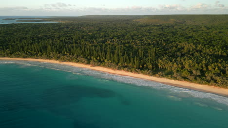 A-remote-beach-on-the-Isle-of-Pines,-New-Caledonia-along-a-columnar-pine-forest---aerial-flyover-at-sunset