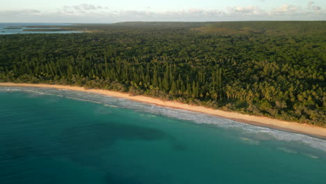 Ein-Abgelegener-Strand-Auf-Der-Pinieninsel,-Neukaledonien-Entlang-Eines-Säulenförmigen-Kiefernwaldes---Luftüberflug-Bei-Sonnenuntergang