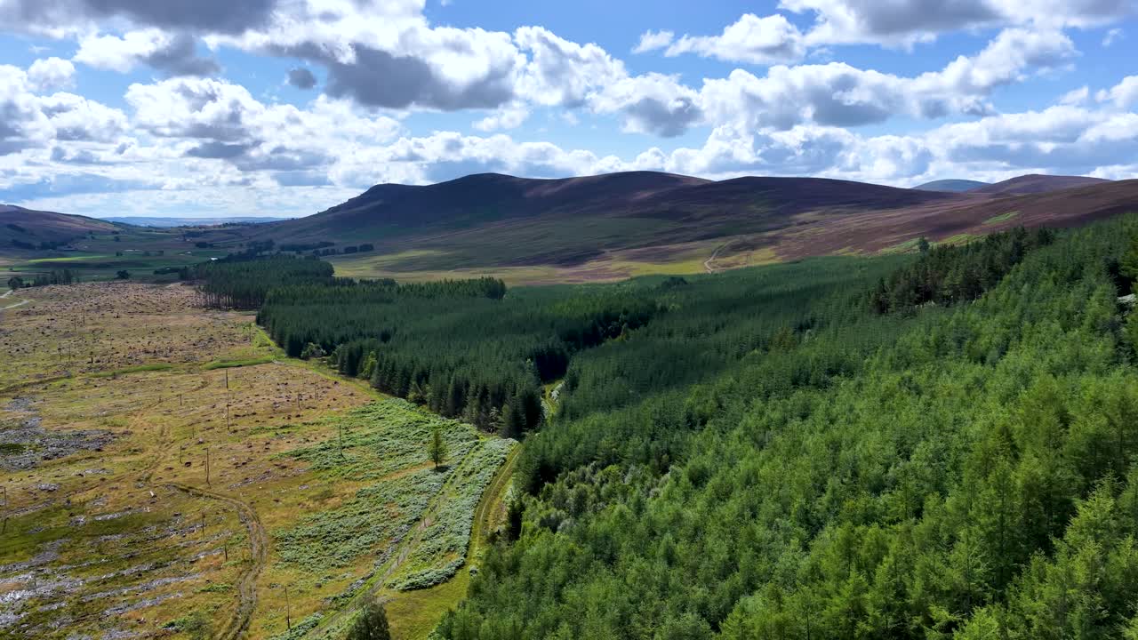 Drone glides above green forest, open meadow, and distant hills under bright daylight skies