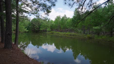 side tracking shot of pond with trees on a tract of land