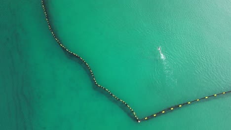 aerial top down of active swimmer swimming in protected ocean area at coogee beach in the morning - descending top view