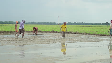 group of indian male farmers working in the cultivated land