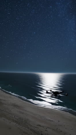 drone over night beach with stars and moonlight