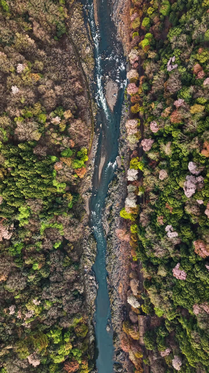 Aerial drone view of the Katsura River in Arashiyama, Japan in daylight