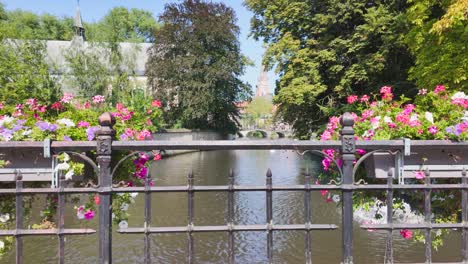 A charming canal bridge with vibrant flowers and lush trees in Bruges, Belgium on a sunny day