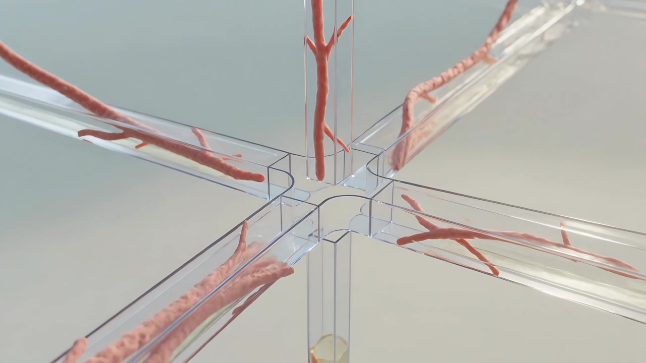 Initiating timelapse, red fibers moving into clear cross junction on lab bench, yellow column below