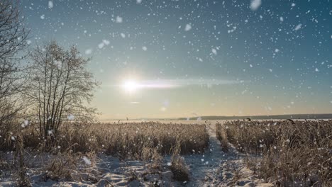 a winters scene animation with cars driving slowly down a snow-covered road and leaves falling gently from the trees. video loop