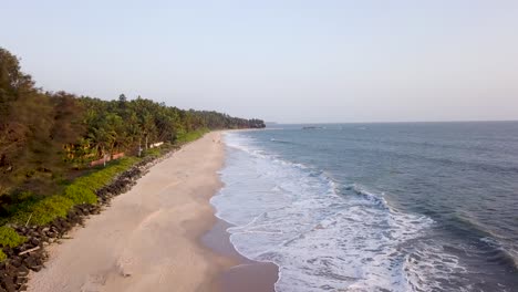 aerial view of palm trees and beach with waves crashing