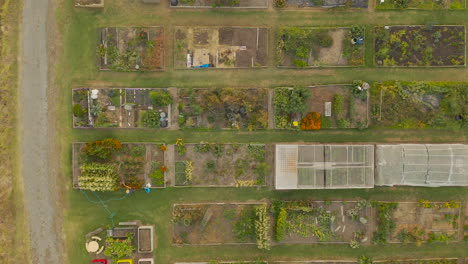 gardener watering their plot in a community garden space