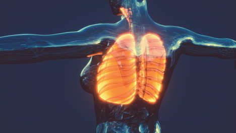 infección por coronavirus covid-19 en los pulmones