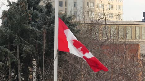 Bandera-canadiense-ondeando-en-el-viento