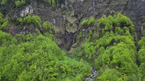 Aerial-view-of-coniferous-Alpine-lush-green-trees-adorned-by-Swiss-Alps