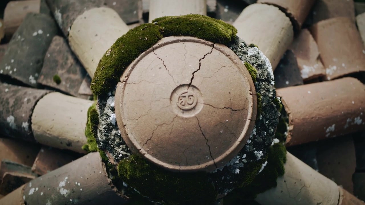 Bewegende camera onthult scheuren in ronde kleien dakpan en gestempeld merkteken op pannendak, met mos