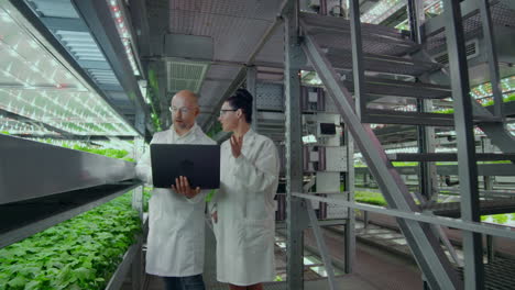 A-group-of-people-in-white-coats-with-a-laptop-and-a-tablet-on-a-hydroponic-farm-contribute-research-data-on-vegetables-to-the-data-center-for-analysis-and-programming-of-plant-irrigation.