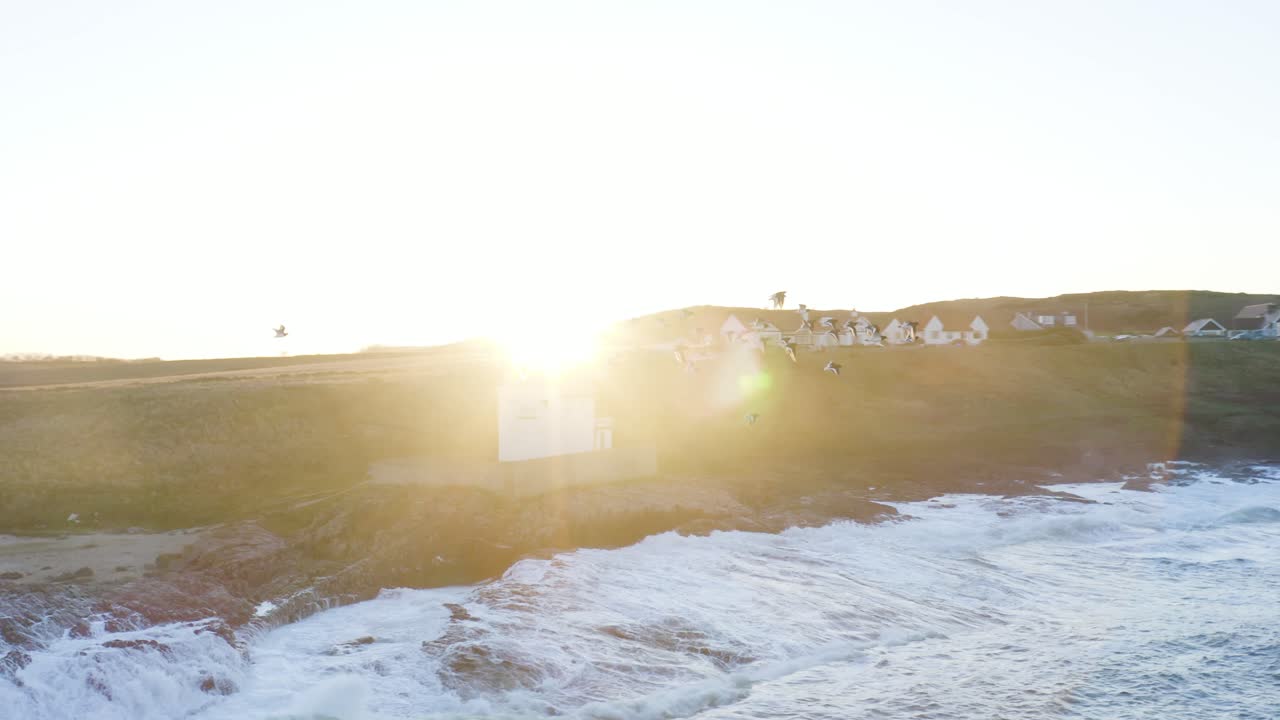 Birds flying along a winter coastline at sunset