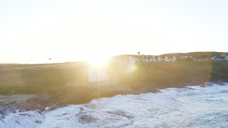 birds flying along a winter coastline at sunset