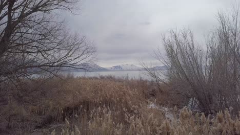 low altitude flight just over the grass and between trees to reveal a huge lake surrounded by snow-capped mountains - pull in dolly forward