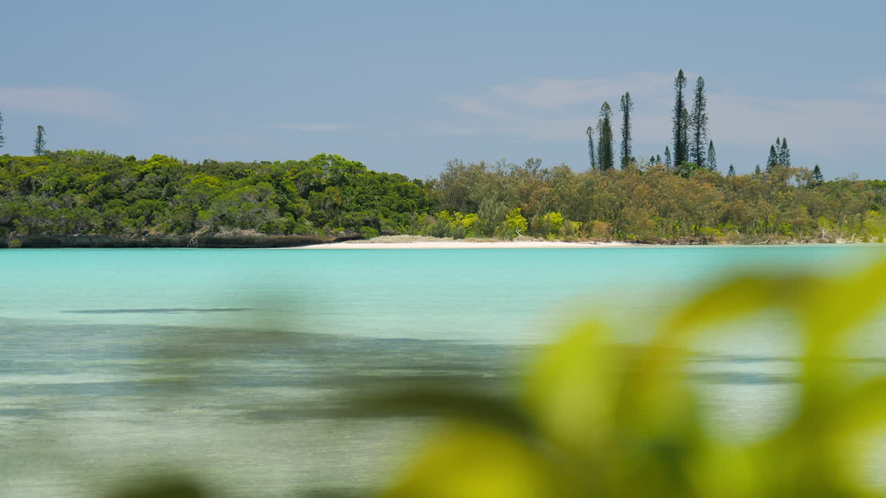 전경에 있는 열대 식물을 바라보며 뉴칼레도니아 파인스 섬의 그림 같은 석호를 보여줍니다.