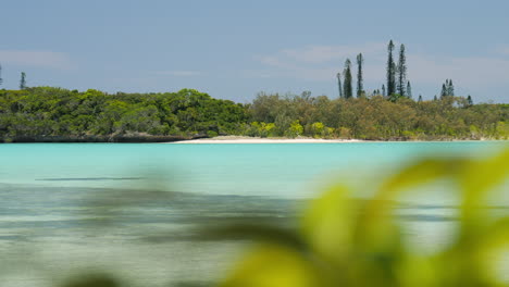 mirando una planta tropical en primer plano para revelar una pintoresca laguna en la isla de los pinos, nueva caledonia