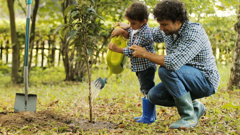 Porträt-Eines-Jungen-Und-Seines-Vaters,-Die-Einen-Baum-Gießen.-Papa-Hilft-Seinem-Sohn.-Glückliche-Familie.-Verschwommener-Hintergrund