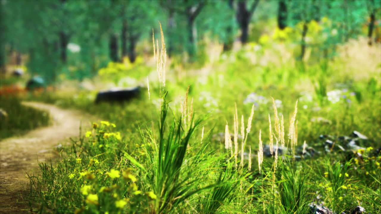 잔디 ⁇ 과 숲 나무