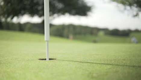 golf court putt success shot