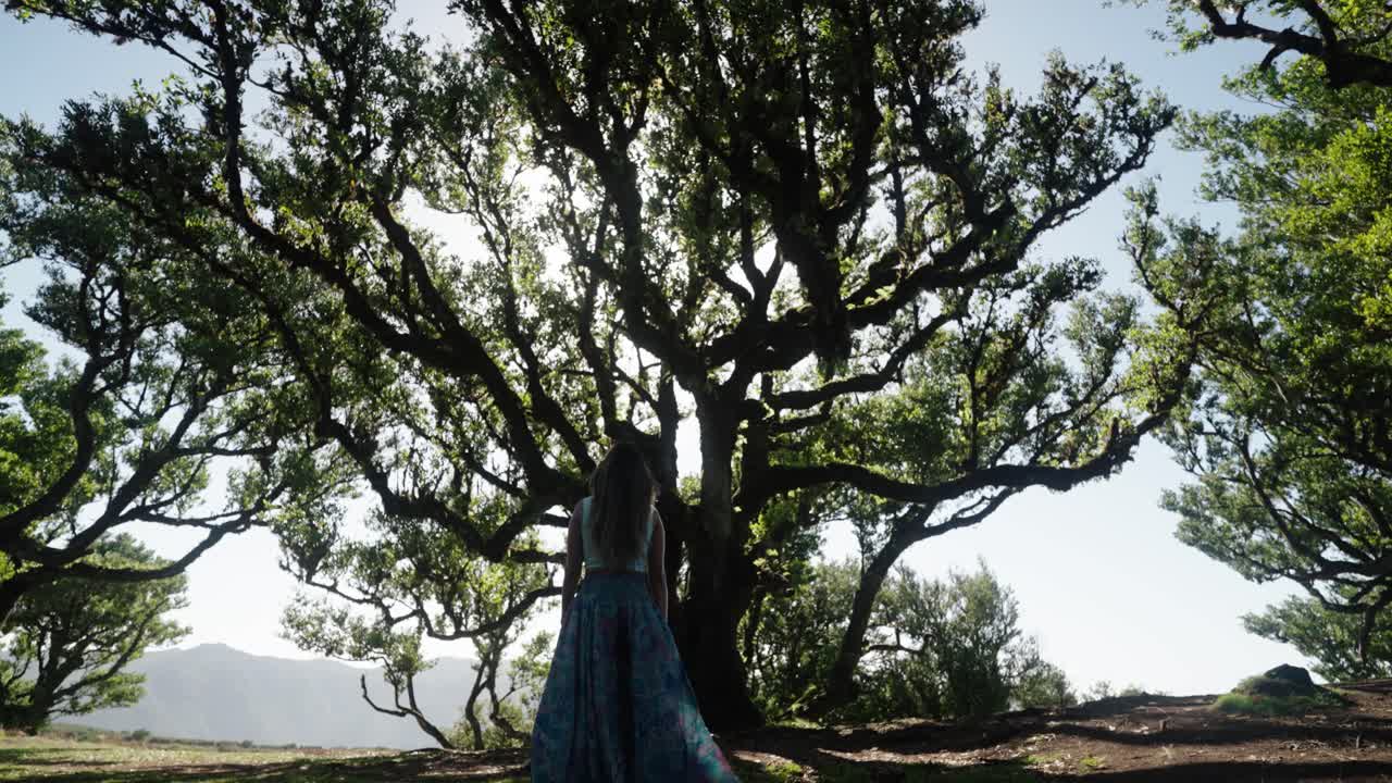 Woman walks toward sunlit trees through ancient forest in Fanal Madeira with light filtering through green canopy