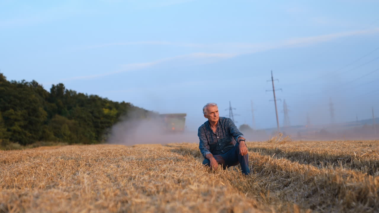 Aged Caucasian man sits squatted in the mowed field of wheat at sunset. Modern combine harvester works at backdrop