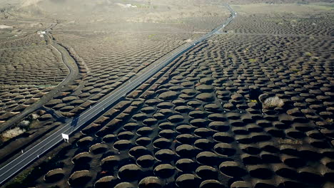 La-Geria,-Wine-Valley,-Lanzarote,-Canary-Islands,-Spain