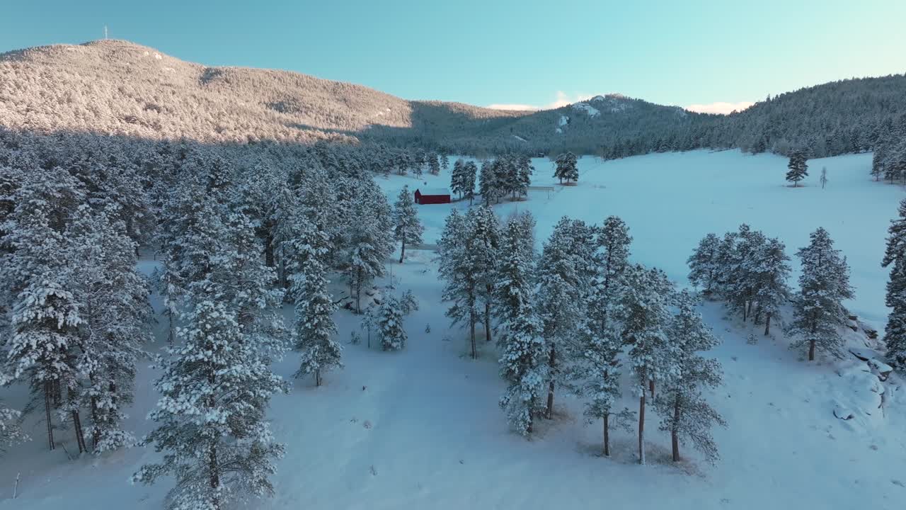 Snowy Valley Forest Evergreen Meadows Conifer Colorado aerial drone Colorado sunset blue hour winter red barn trees cold frozen deep snow December North Turkey Creek Rocky Mountains forward motion