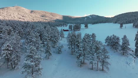 snowy valley forest evergreen meadows conifer colorado aerial drone colorado sunset blue hour winter red barn trees cold frozen deep snow december north turkey creek rocky mountains forward motion