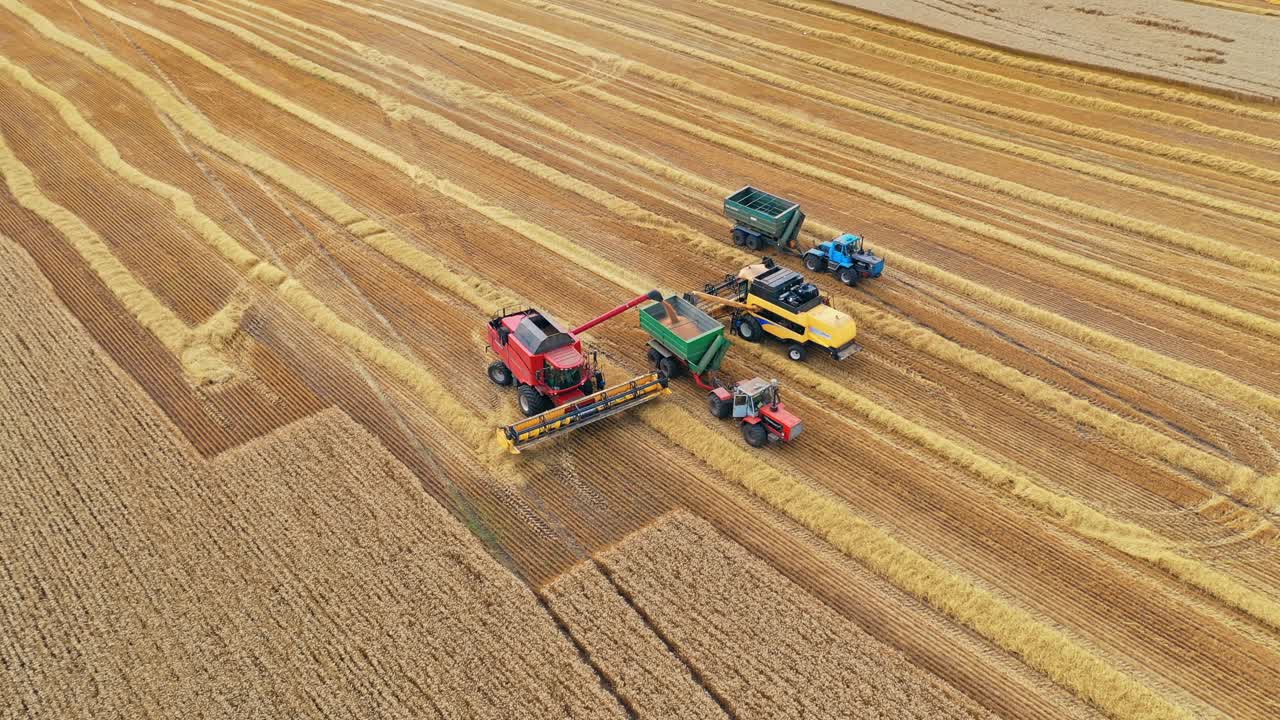 Agricultural machinery harvesting wheat.Combine harvester pouring grains on a trailer. View from above on the golden field at seasonal works. Aerial view.