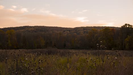 el tiempo de otoño en la naturaleza con las nubes que pasan
