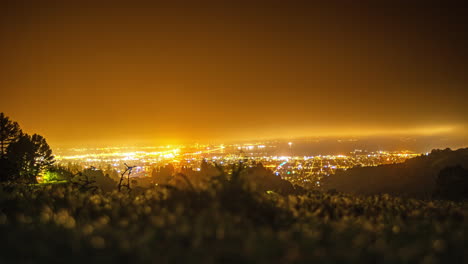 Misty-night-transmute-through-twilight-into-a-beautiful-dawn-dew,-beautiful-ground-view-timelapse