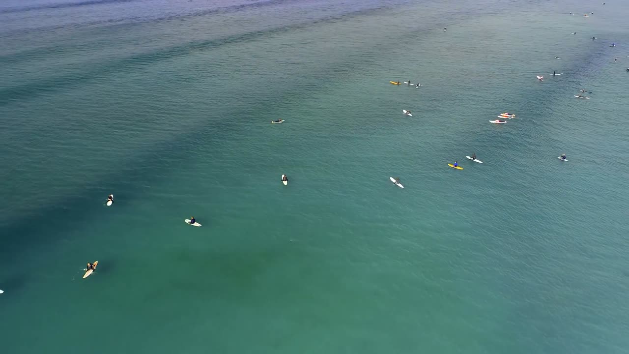 Tourists surfing in the sea 4k