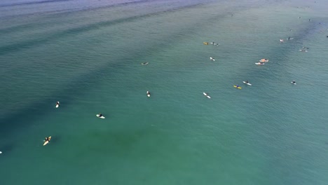 tourists surfing in the sea 4k