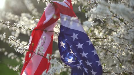 Weiße-Blumen-Am-Baum,-Frühlingsblüte.-Usa-Flagge