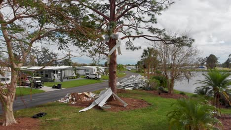 4K-Drone-Video-of-Aluminum-Debris-Stuck-in-Pine-Tree-from-Hurricane-Ian-in-North-Port,-FL---04