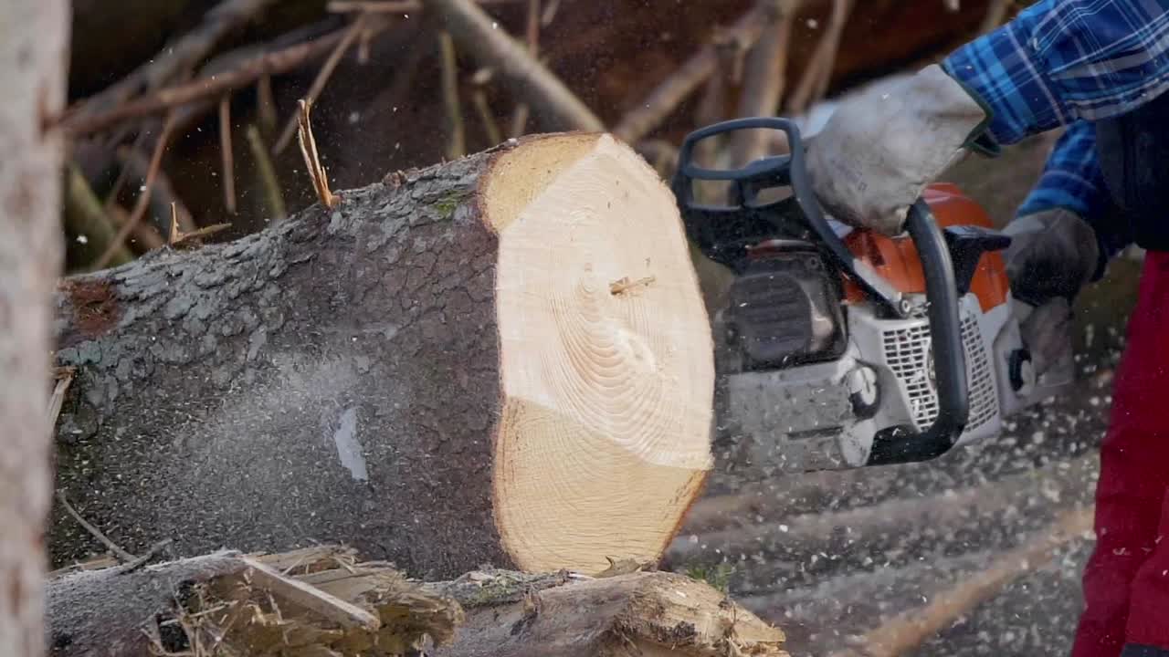 persona que usa motosierra eléctrica para cortar un enorme tronco de árbol, polvo de madera volador en el aire