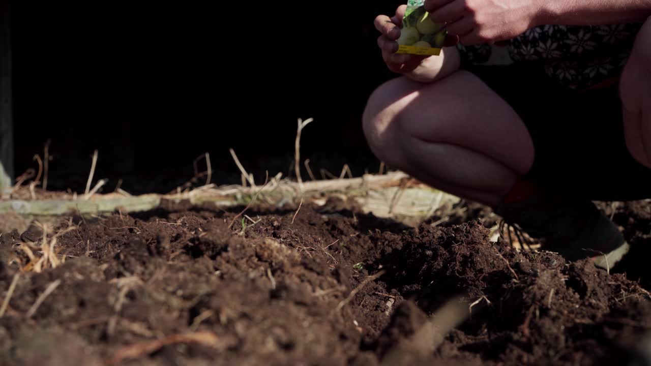 plantas de jardinero paquete de semillas de cultivos vegetales en el suelo del jardín al aire libre